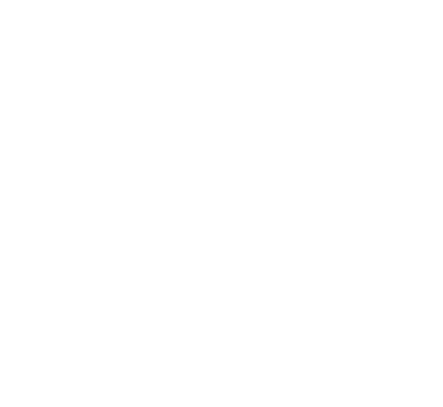 Pallottiner Logo